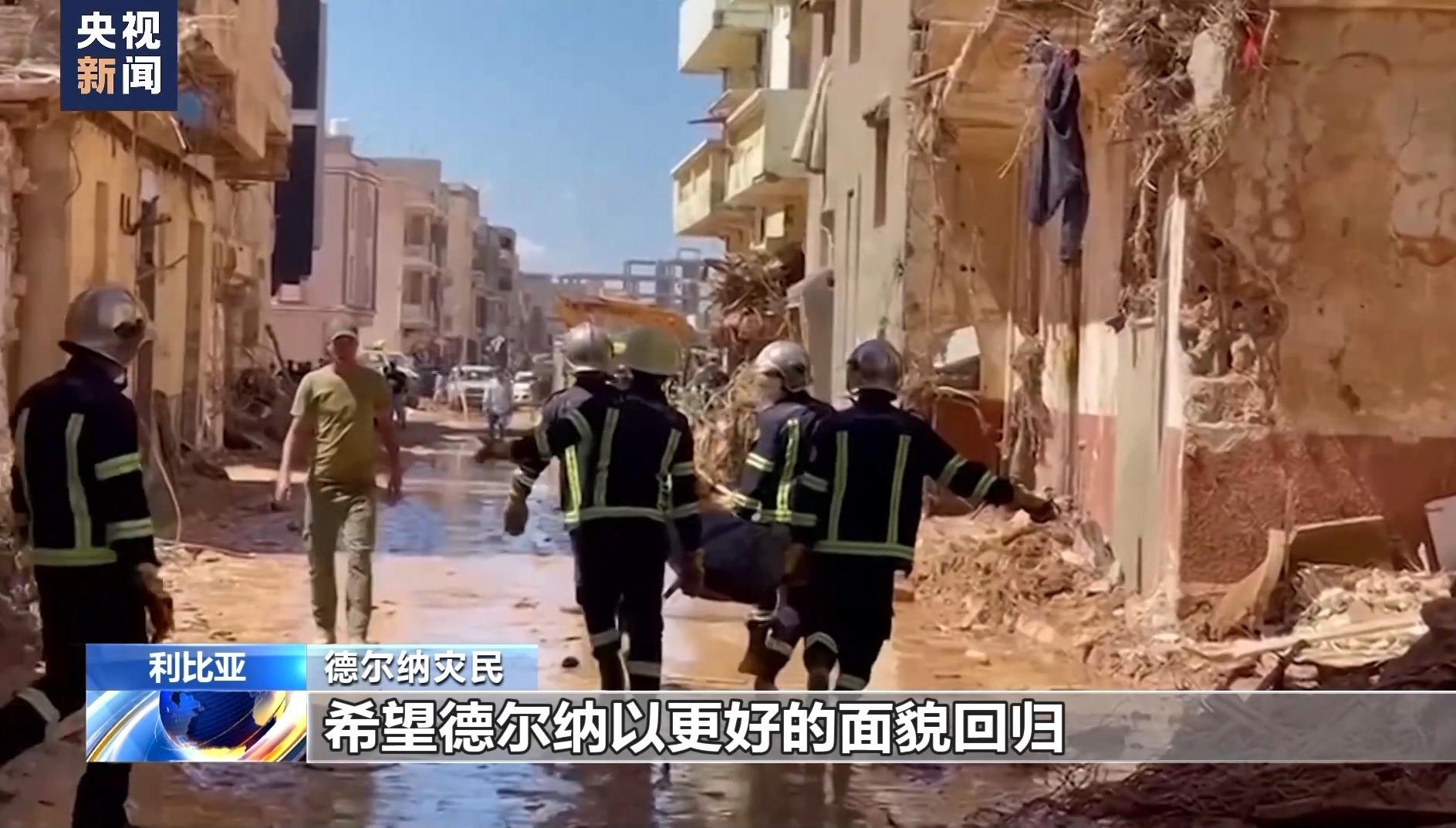 bgo网站